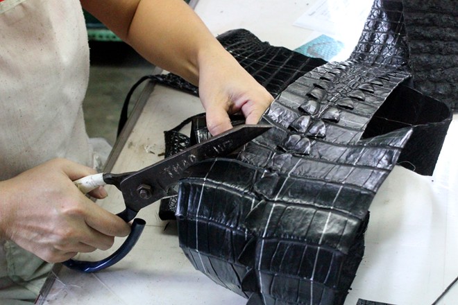 Tại Sao Clutch Da Cá Sấu Lại Là Lựa Chọn Khác Biệt?